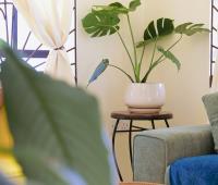 TheGrenadinesCollection