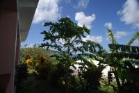 TheGrenadinesCollection