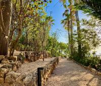 TheGrenadinesCollection