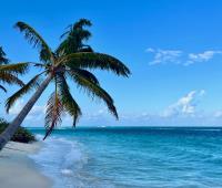 TheGrenadinesCollection