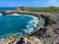 TheGrenadinesCollection