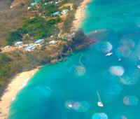 TheGrenadinesCollection