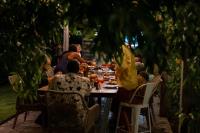 TheGrenadinesCollection