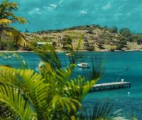 TheGrenadinesCollection