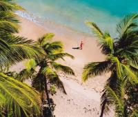 TheGrenadinesCollection