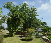 TheGrenadinesCollection