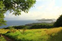 TheGrenadinesCollection