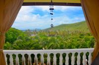 TheGrenadinesCollection