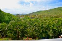 TheGrenadinesCollection