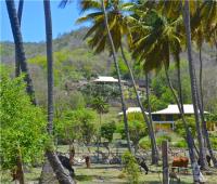 TheGrenadinesCollection