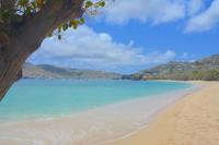 TheGrenadinesCollection