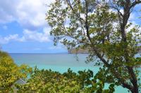 TheGrenadinesCollection