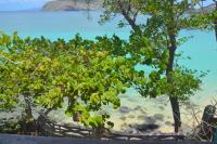 TheGrenadinesCollection