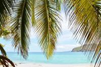 TheGrenadinesCollection