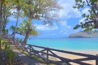 TheGrenadinesCollection