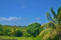 TheGrenadinesCollection