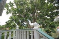 TheGrenadinesCollection