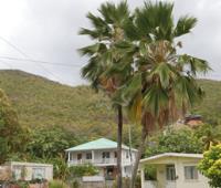 TheGrenadinesCollection