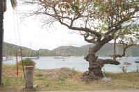 TheGrenadinesCollection