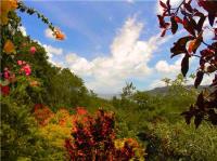 TheGrenadinesCollection