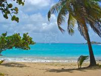 TheGrenadinesCollection