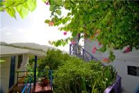 TheGrenadinesCollection