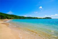 TheGrenadinesCollection