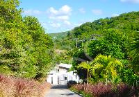 TheGrenadinesCollection