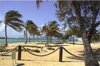 TheGrenadinesCollection