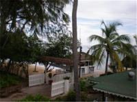 TheGrenadinesCollection