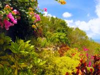 TheGrenadinesCollection