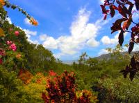 TheGrenadinesCollection