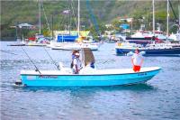 TheGrenadinesCollection