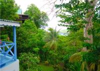 TheGrenadinesCollection