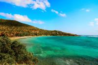 TheGrenadinesCollection