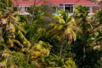 TheGrenadinesCollection