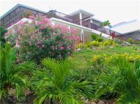 TheGrenadinesCollection