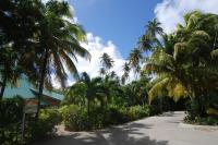 TheGrenadinesCollection