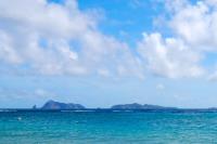 TheGrenadinesCollection