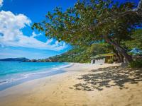 TheGrenadinesCollection