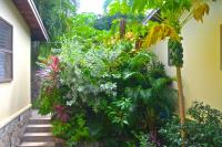 TheGrenadinesCollection