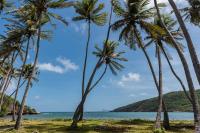 TheGrenadinesCollection