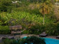 TheGrenadinesCollection