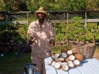 TheGrenadinesCollection