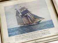 TheGrenadinesCollection