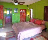 TheGrenadinesCollection