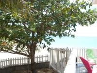 TheGrenadinesCollection