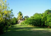 TheGrenadinesCollection