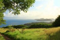 TheGrenadinesCollection