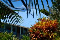 TheGrenadinesCollection